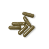 Magic Mushroom Capsules 500mg